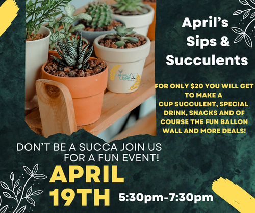 APRILS SUCCULENT NIGHT OUT